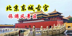 www。看看逼逼。com中国北京-东城古宫旅游风景区